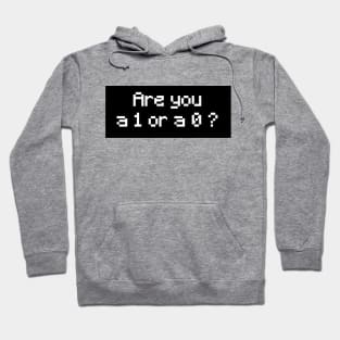 Are you a 1 or a 0 ? (2) Hoodie